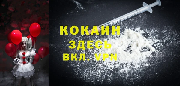 тгк Няндома