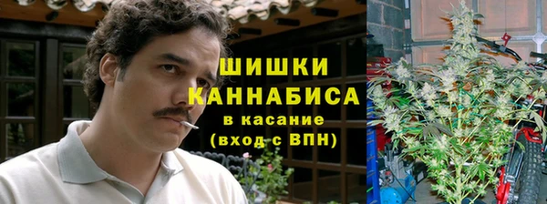 тгк Няндома