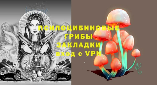 2c-b Нязепетровск