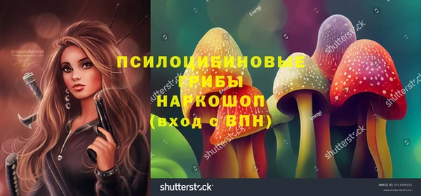 2c-b Нязепетровск