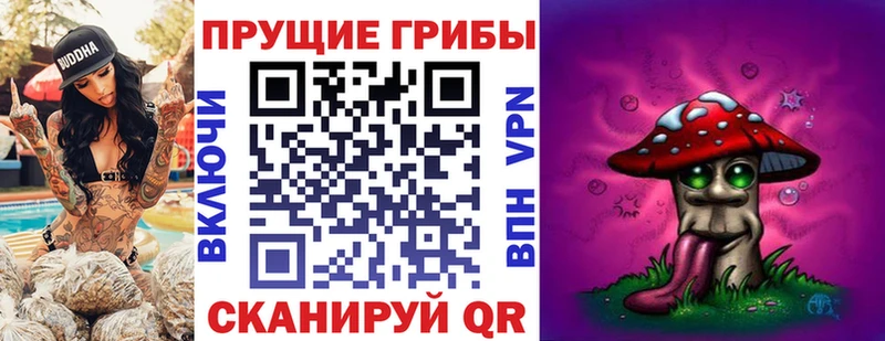 купить наркотики сайты  Тбилисская  Галлюциногенные грибы мицелий 