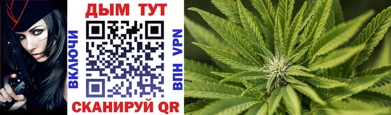 Шишки марихуана SATIVA & INDICA  хочу   Тбилисская 